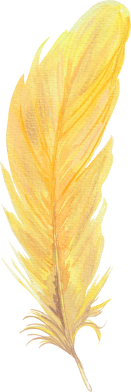 Watercolour Feather